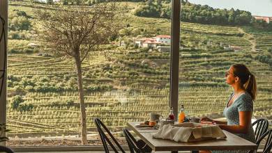 Discover Northern Portugal – Premium Adventure