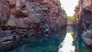 Highlights of Ecuador & the Galapagos