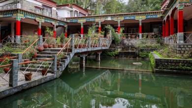 Foothills of the Himalaya