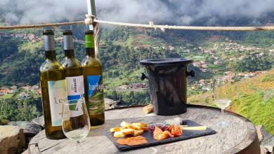 Madeira Discovery – Premium Adventure