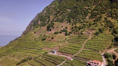 Madeira Discovery – Premium Adventure