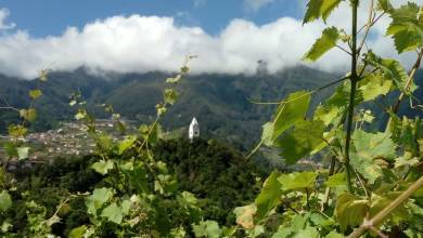 Madeira Discovery – Premium Adventure