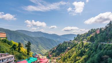 Foothills of the Himalaya