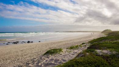 Highlights of Ecuador & the Galapagos