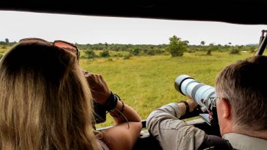 Tanzania Safari Adventure