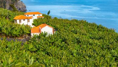 Madeira Discovery – Premium Adventure