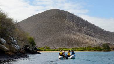 Highlights of Ecuador & the Galapagos