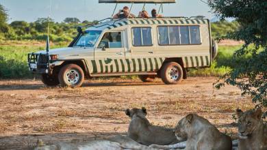 Kenya Safari Adventure