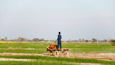 Foothills of the Himalaya