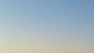 Ancient Egypt & Nile Cruise