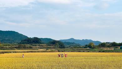 Discover South Korea