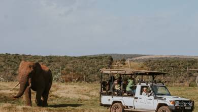 Cape Town & the Garden Route