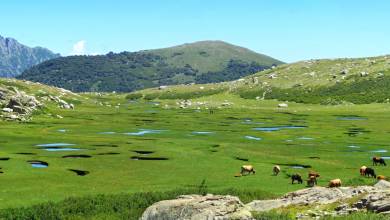 Trek the GR20 of Corsica