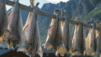 Hike the Lofoten and Vesterålen Islands