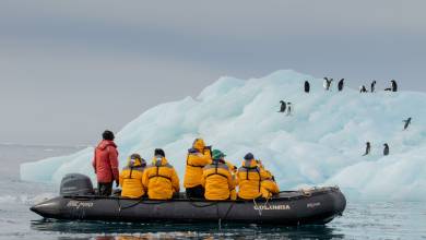 Antarctic Express: Cruise South, Fly North