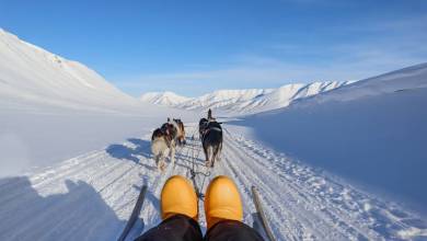 Svalbard Arctic Adventure – Sunny Winter
