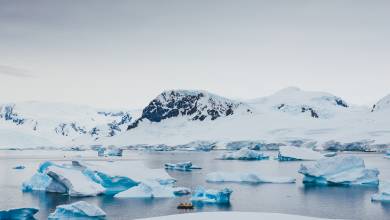 Antarctic Express: Cruise South, Fly North