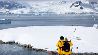 Antarctic Express: Fly South, Cruise North