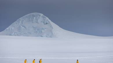 Antarctic Express: Fly South, Cruise North