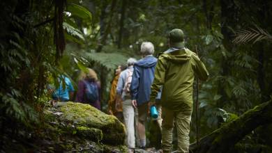 Discover Costa Rica – Coastal Edition