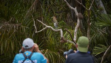 Discover Costa Rica – Coastal Edition