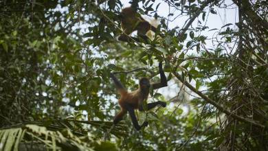 Discover Costa Rica – Coastal Edition