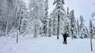 Finland Family Winter Adventure