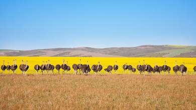 Cycling South Africa’s Garden Route