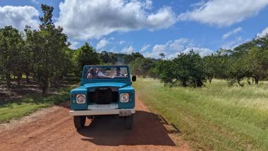 Mexico’s Yucatán Adventure