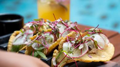 Mexico’s Yucatán Adventure