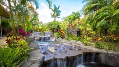 Wild Costa Rica – Premium Adventure