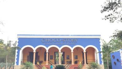 Mexico’s Yucatán Adventure