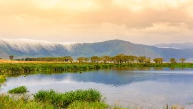 Tanzania Safari Adventure