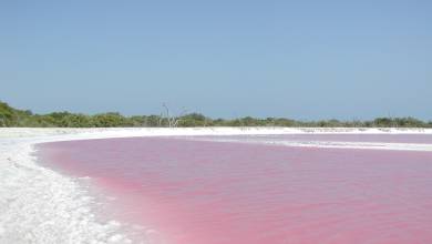 Mexico’s Yucatán Adventure