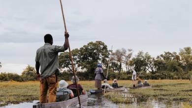 Botswana & Zimbabwe Lodge Safari