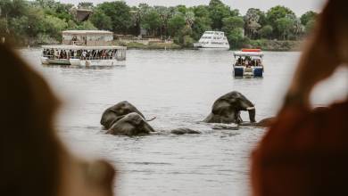 Botswana & Zimbabwe Lodge Safari