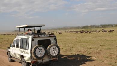 Tanzania Safari Adventure