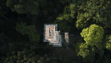 Premium Amazon Rainforest Add-on Tour (from Cuzco)