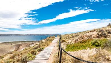 Valdés Peninsula Add-on Tour