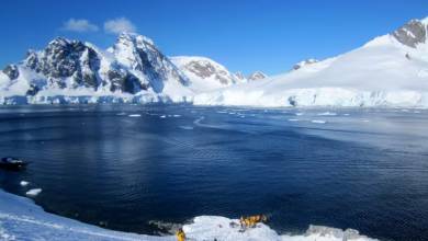 Antarctic Express: Sail South, Fly North via Buenos Aires