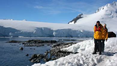 Antarctic Express: Sail South, Fly North via Buenos Aires
