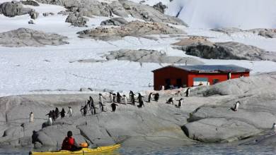 Antarctic Express: Sail South, Fly North via Buenos Aires