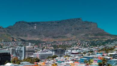 Highlights of South Africa’s Winelands