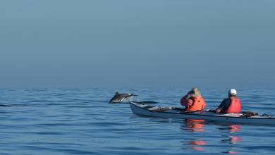 Highlights of South Africa’s Winelands