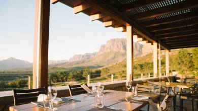 Highlights of South Africa’s Winelands