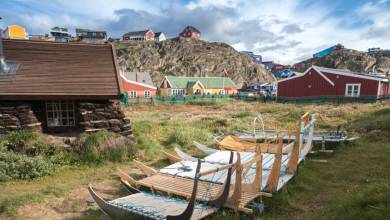 Greenland to Newfoundland: Mountains, Wildlife and Viking History