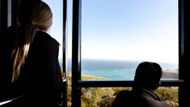 Highlights of South Africa’s Winelands