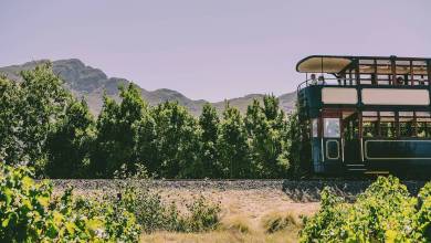 Discover South Africa’s Garden Route