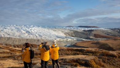 Greenland to Newfoundland: Mountains, Wildlife and Viking History
