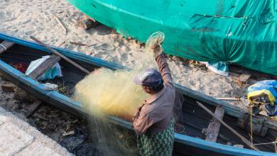 Highlights of Kerala